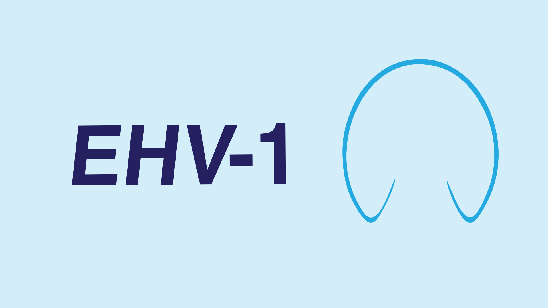 BREAKING: Michigan horses were potentially exposed to EHV-1, MDARD says