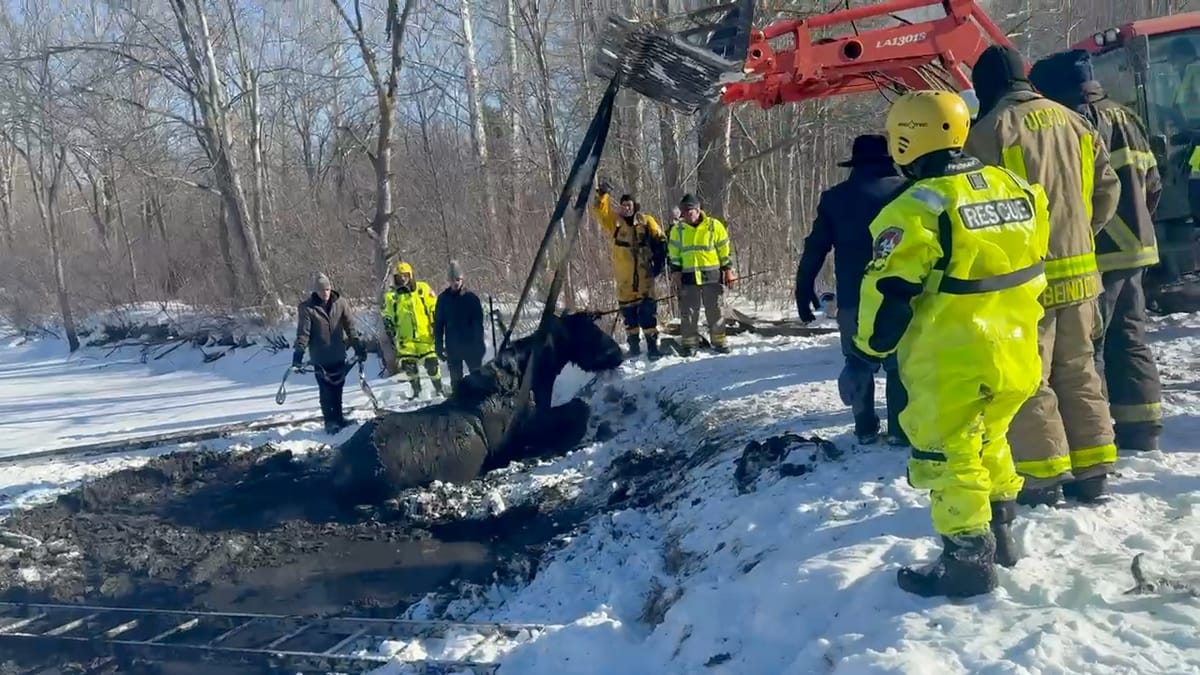 'Neighborhood ingenuity' saved horses