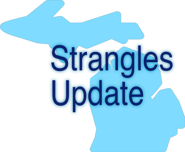 Strangles, again, at two Michigan sites